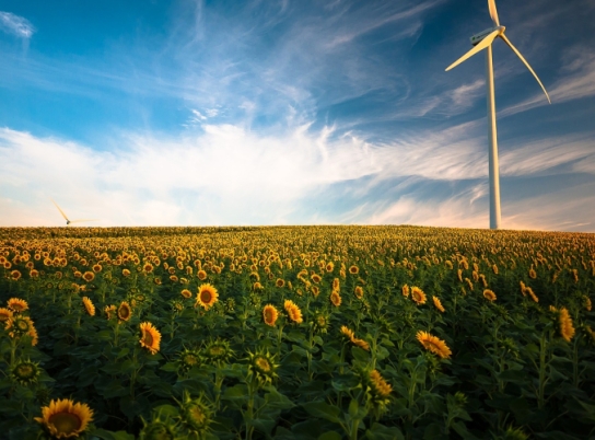 Projeto de energia renovavel ajuda a tornar fábricas mais sustentáveis